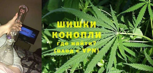 гашик Нея