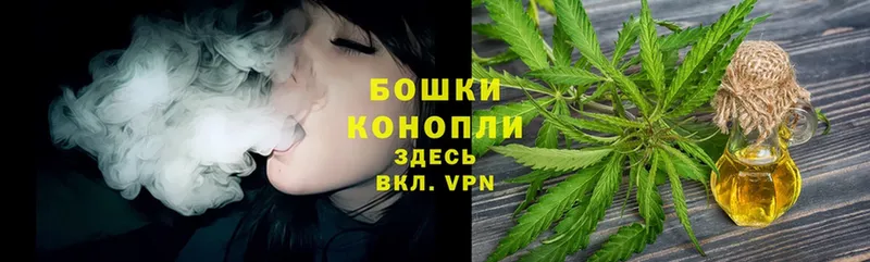 как найти закладки  Нестеровская  Марихуана THC 21% 